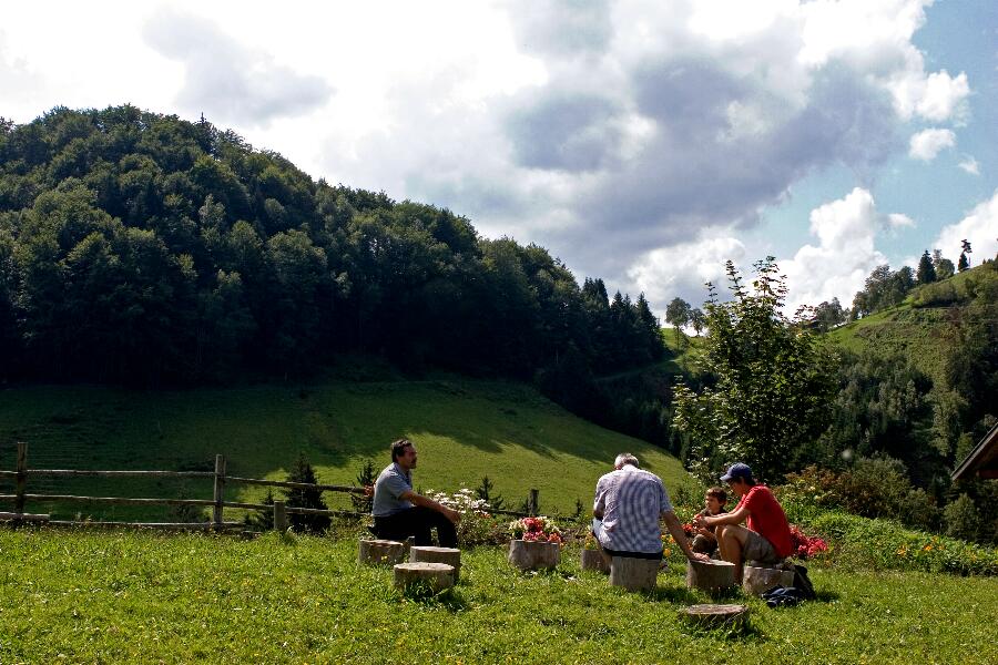 Foto 21/25 (Hausstein bei Frankenfels)